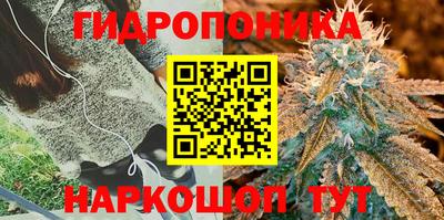 ешки Волжский