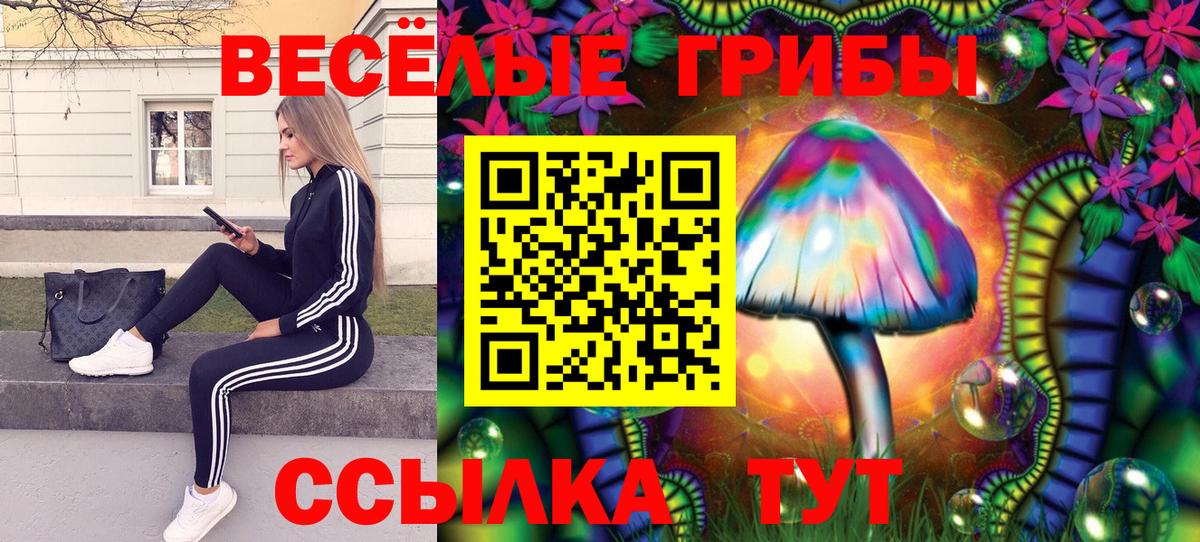 Киселёвск  Псилоцибиновые грибы мицелий  Вход с VPN 
